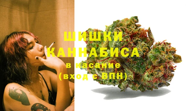 сатива Баксан