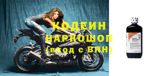сатива Баксан