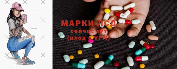 сатива Баксан