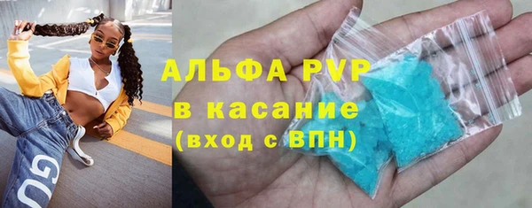 сатива Баксан